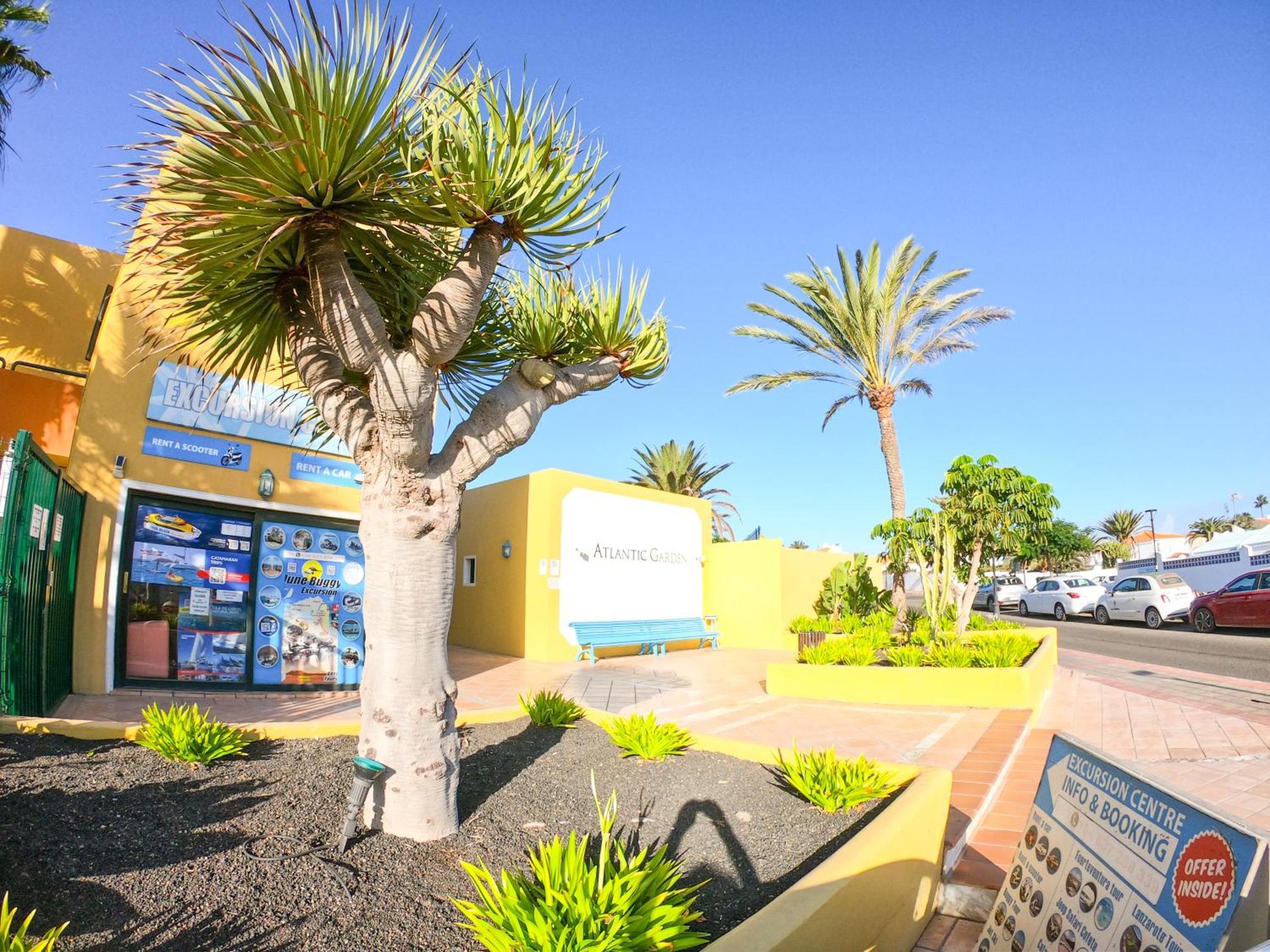 Drago 1 Atlantic Garden Apartment Corralejo Exteriör bild