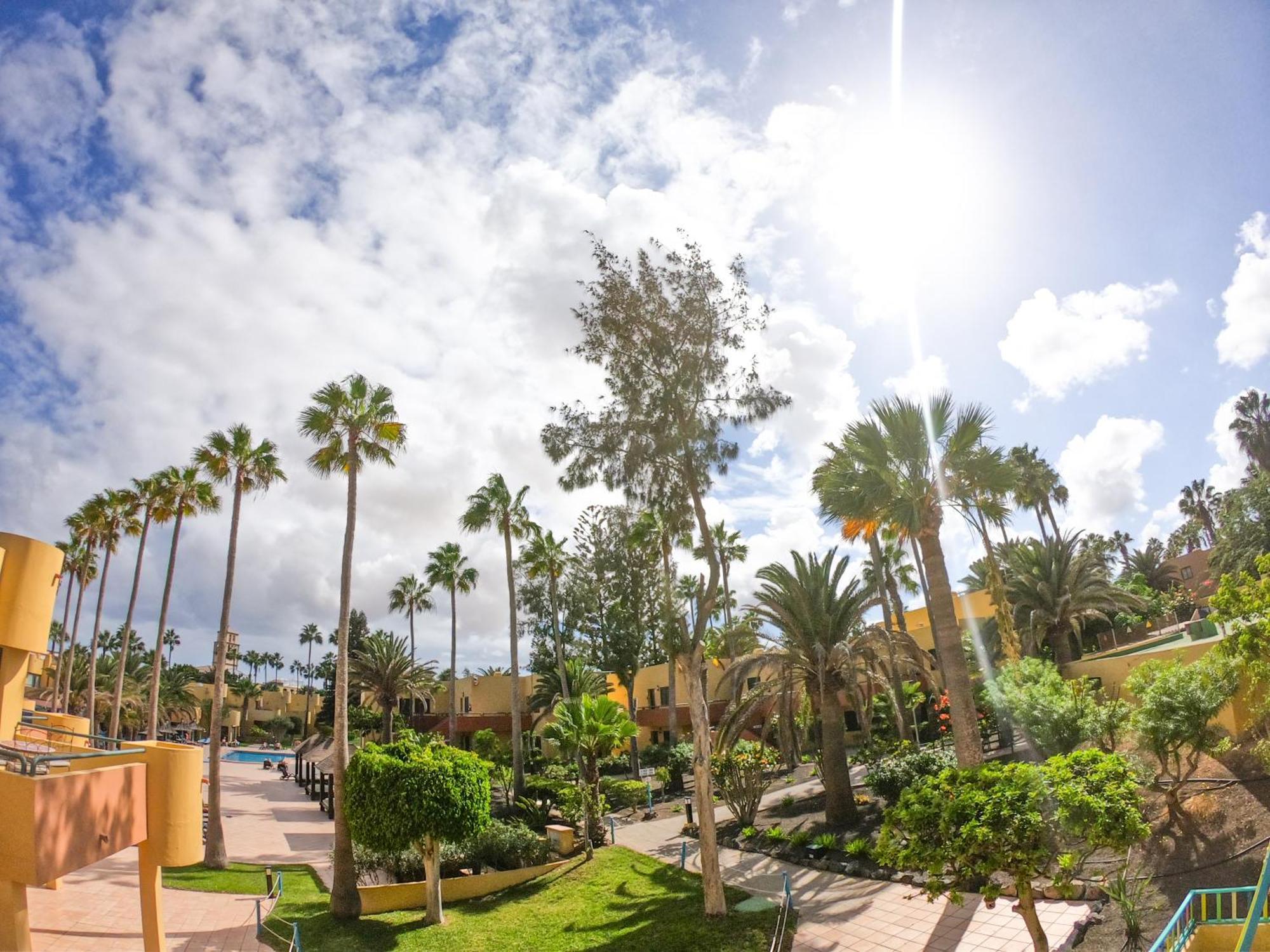 Drago 1 Atlantic Garden Apartment Corralejo Exteriör bild